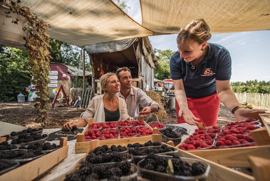 Pärchen schaut sich die gepflückten Himbeeren an