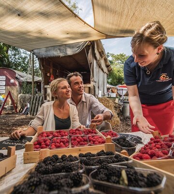 Paar vor den frischen Beeren auf dem Himbeerhof beim Snacken mit der Verkäuferin