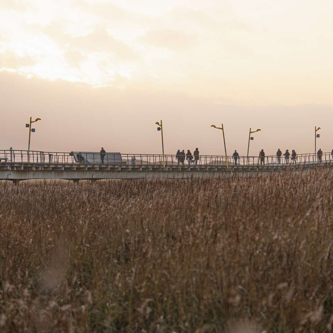 Seebrücke aus der Salzwiese 