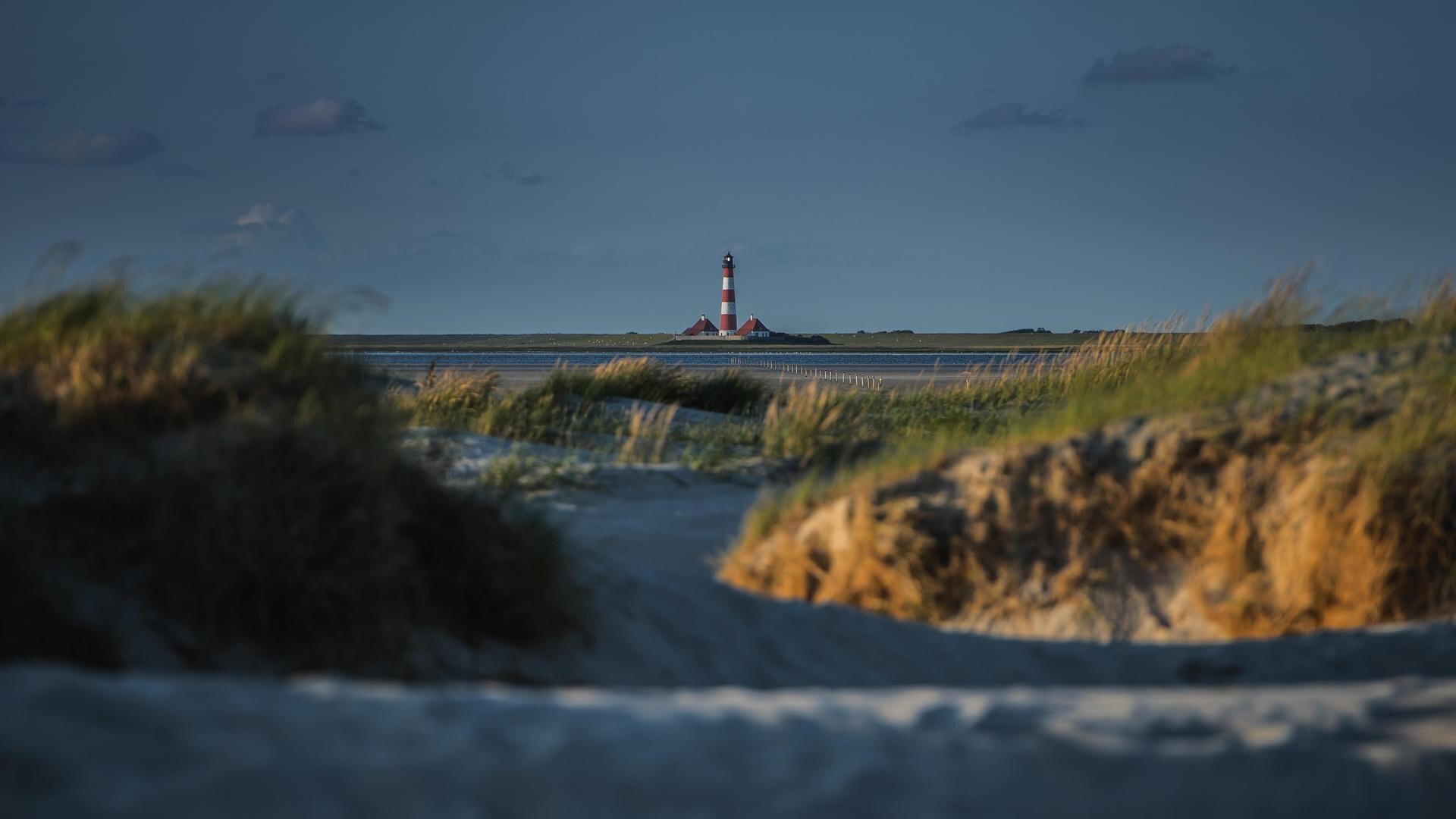 Dünenlandschaft vor dem Westerhever Leuchtturm