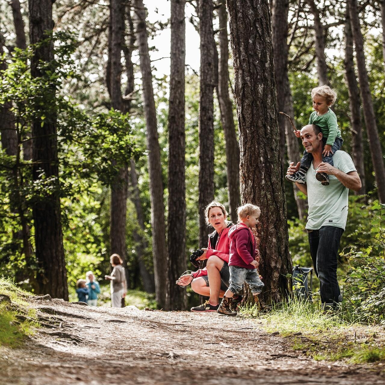 Familie unterwegs im Wald