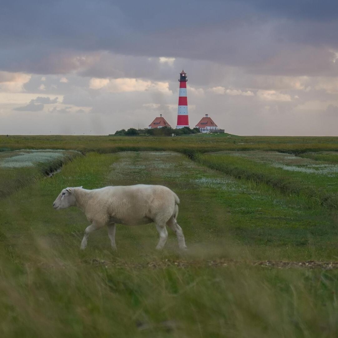 Westerhever Leuchtturm bei schöner Abendstimmung
