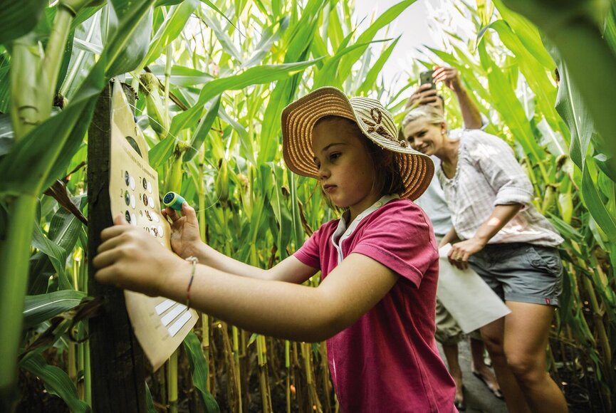 Mädchen erreicht nächste Station im Maislabyrinth