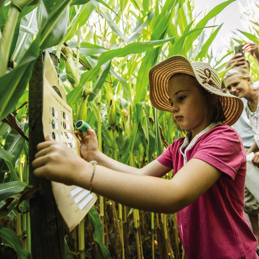Familie im Maislabyrinth