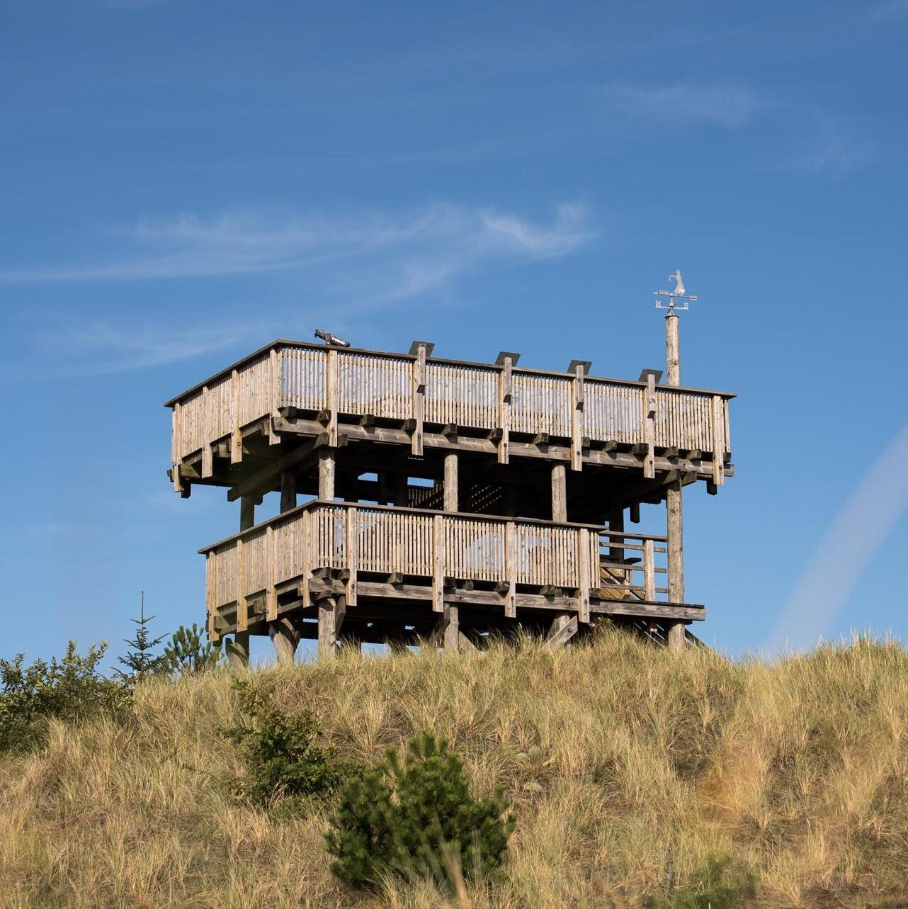 Aussichtsturm Maleens Knoll