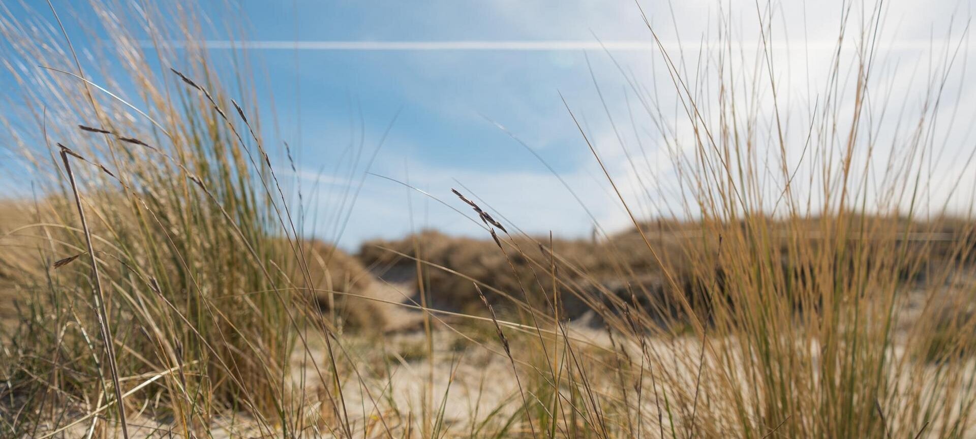 Dünen am Strand