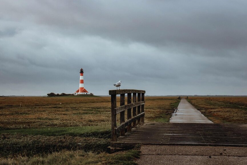 Möwe sitzt auf dem Geländer einer Brücke vor der Kulisse des Westerhever Leuchtturms