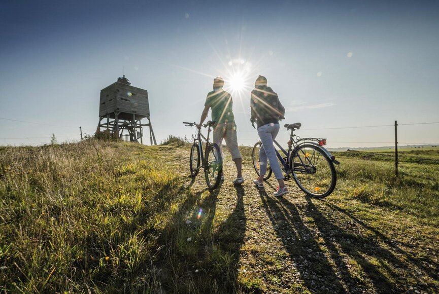Fahrradtour zum Aussichtsturm im Katinger Watt