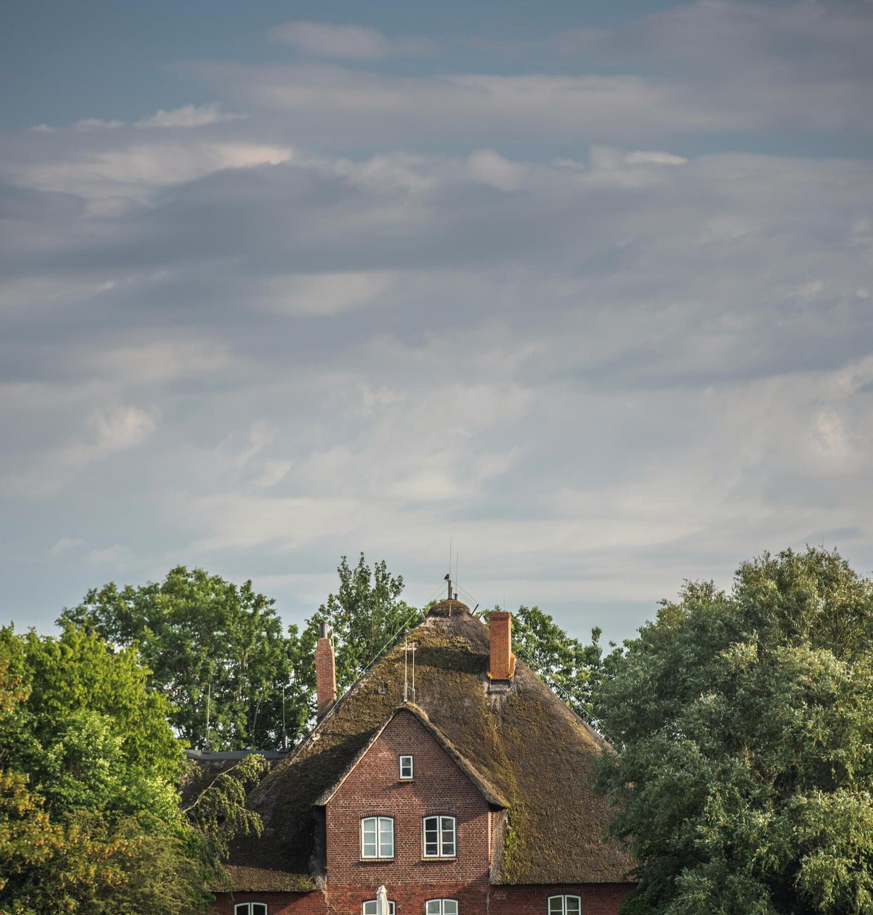 Schafe vor einem Haubarg in Tetenbüll 