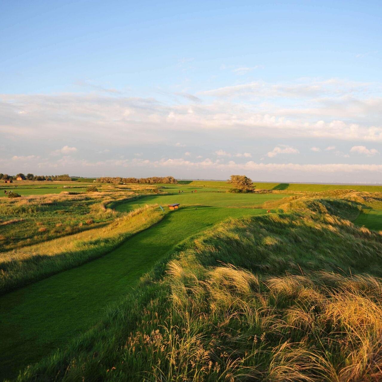 Vogelperspektive auf der Golfplatz in Böhl