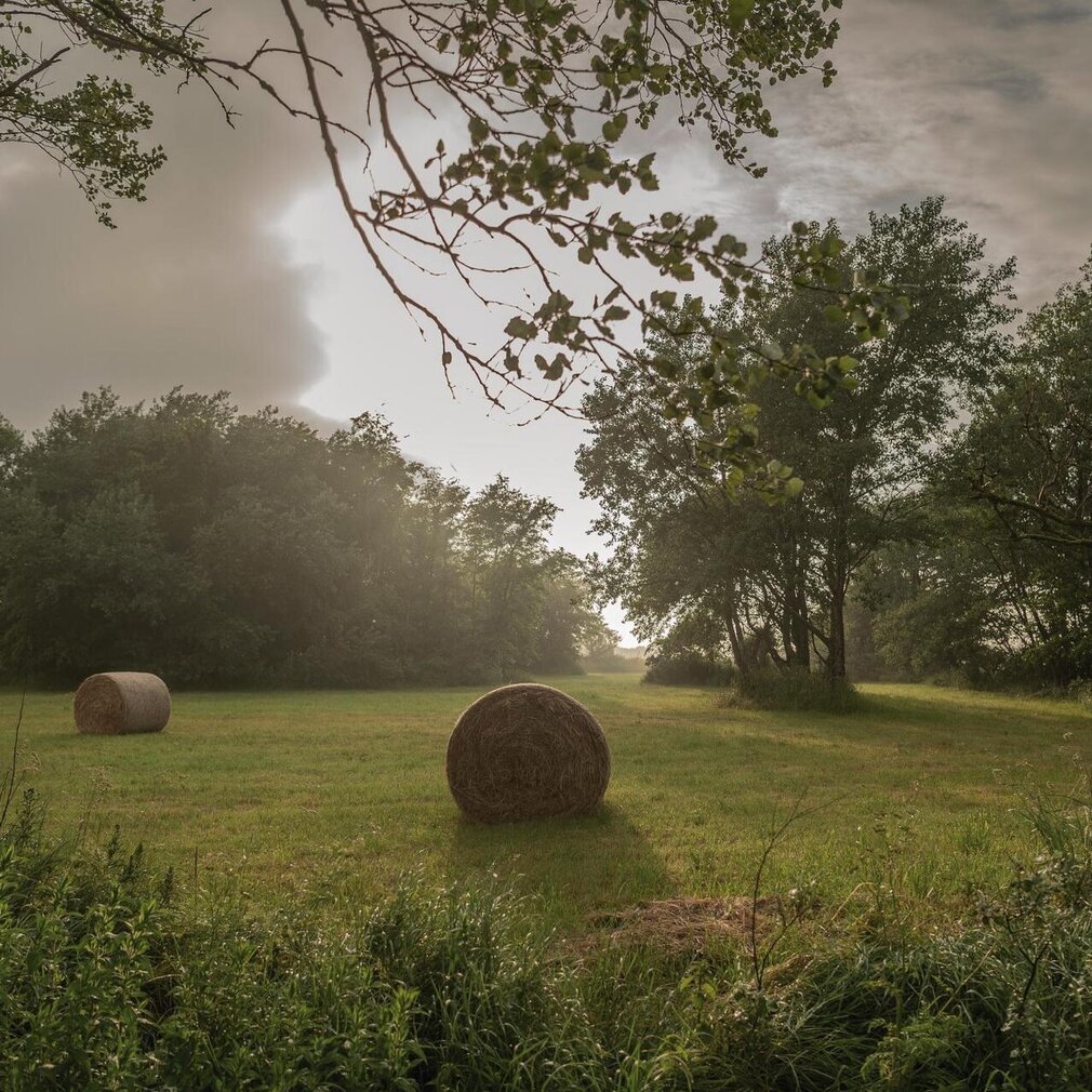 Heuballen auf einer Wiese in Ording