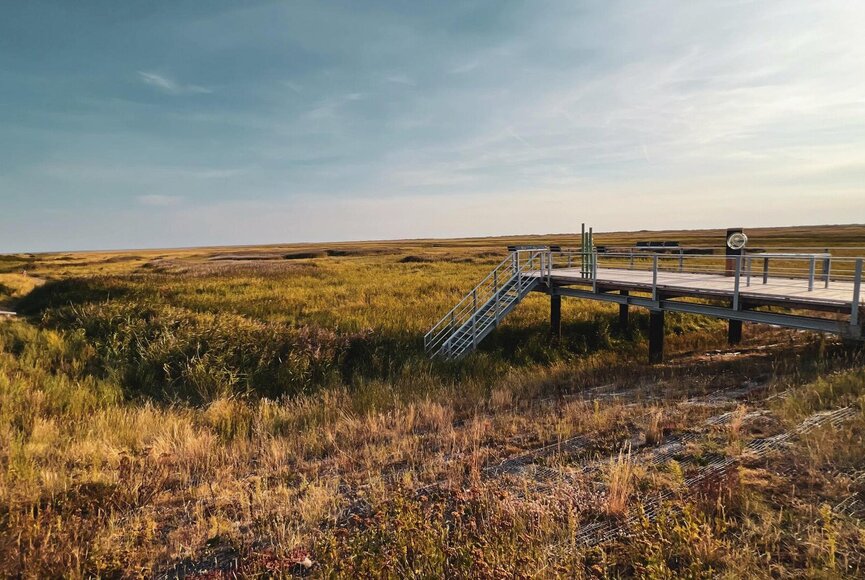 hölzerne Aussichtsplattform über den Salzwiesen