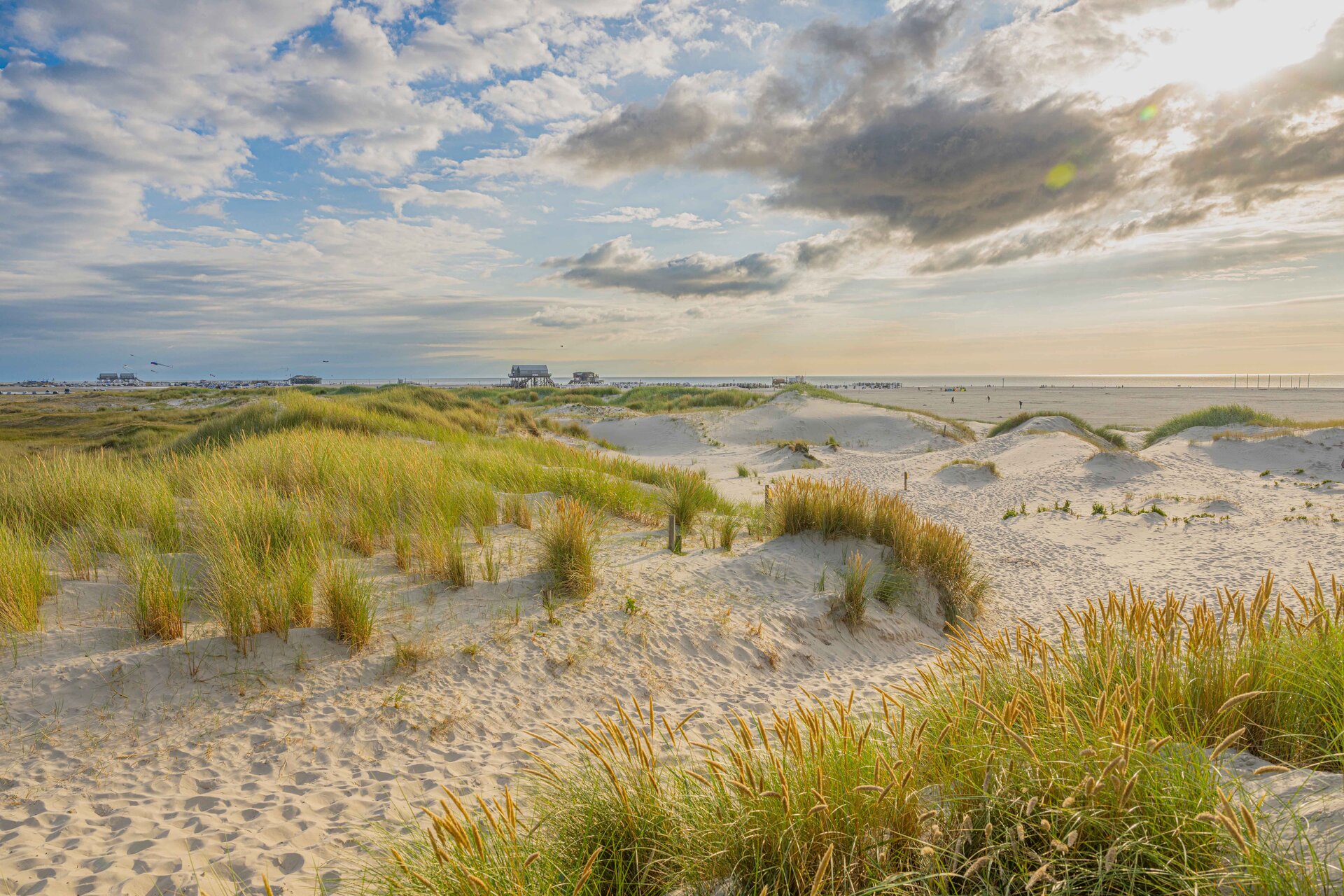 Die wünderschöne Dünenlanschaft am Strand von St. Peter-Ording erstrahlt im Sonnenlicht.