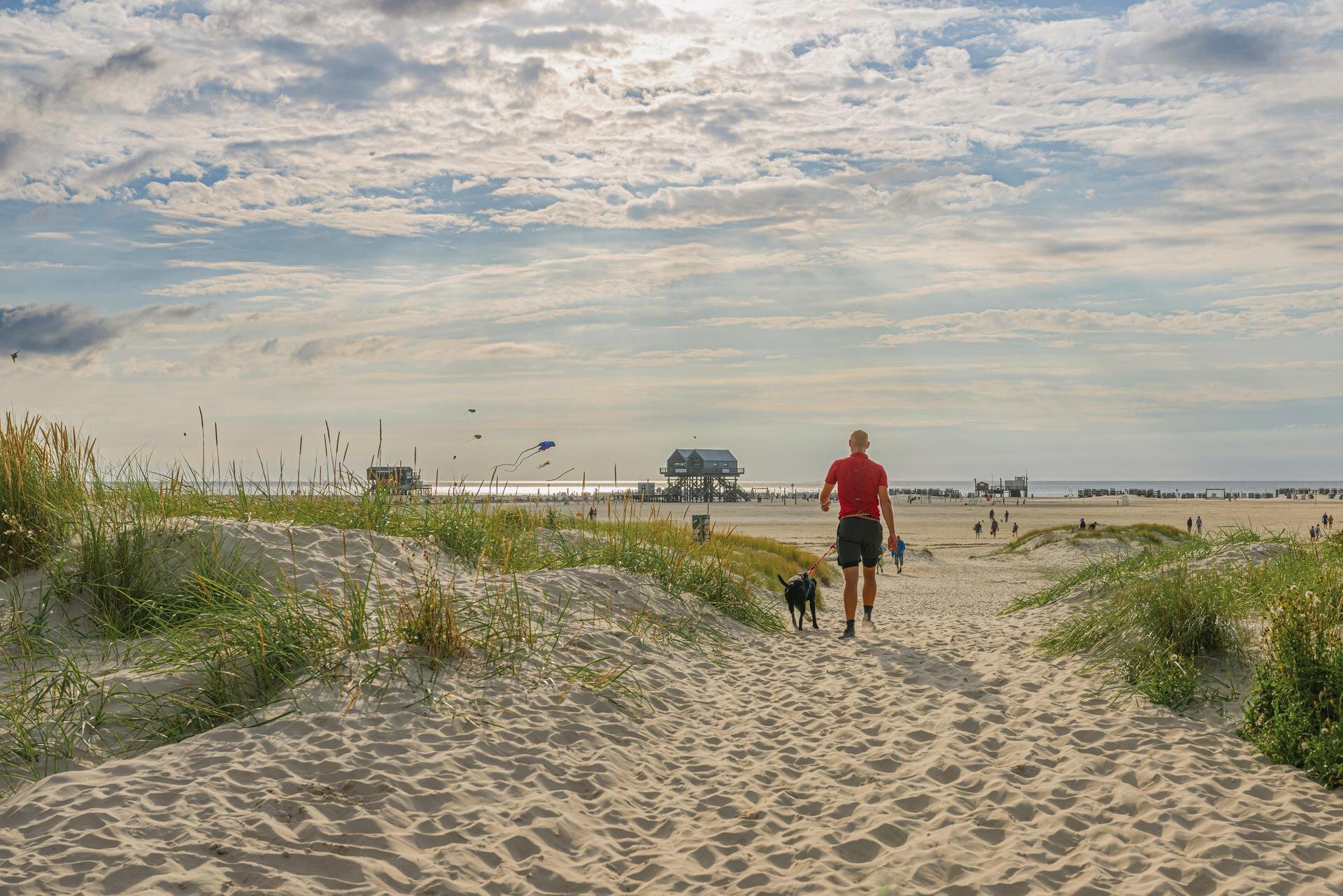 Ein Mann geht mit seinem angeleihnten Hund durch die wunderschönen Dünen in Richtung Strand.