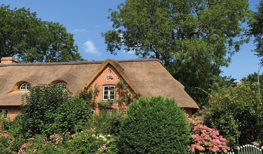 historisches Reetdachhaus im Wasserkoog von Tetenbüll