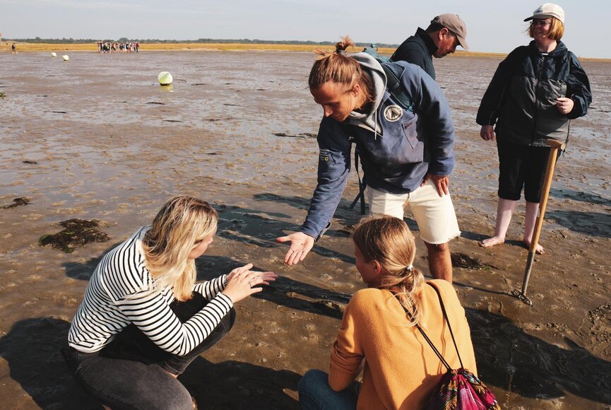 Ranger des Nationalparks erklärt Wattwanderern das Leben in der Nordsee