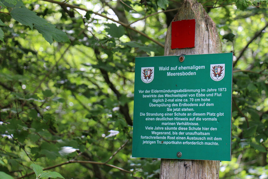 Informationstafel im Natuerlebnisraum Katinger Watt