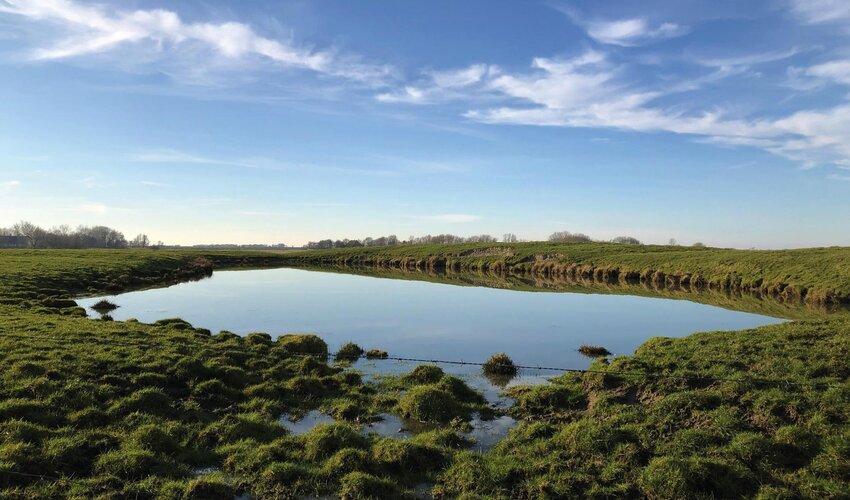 Tauteich in Poppenbüll