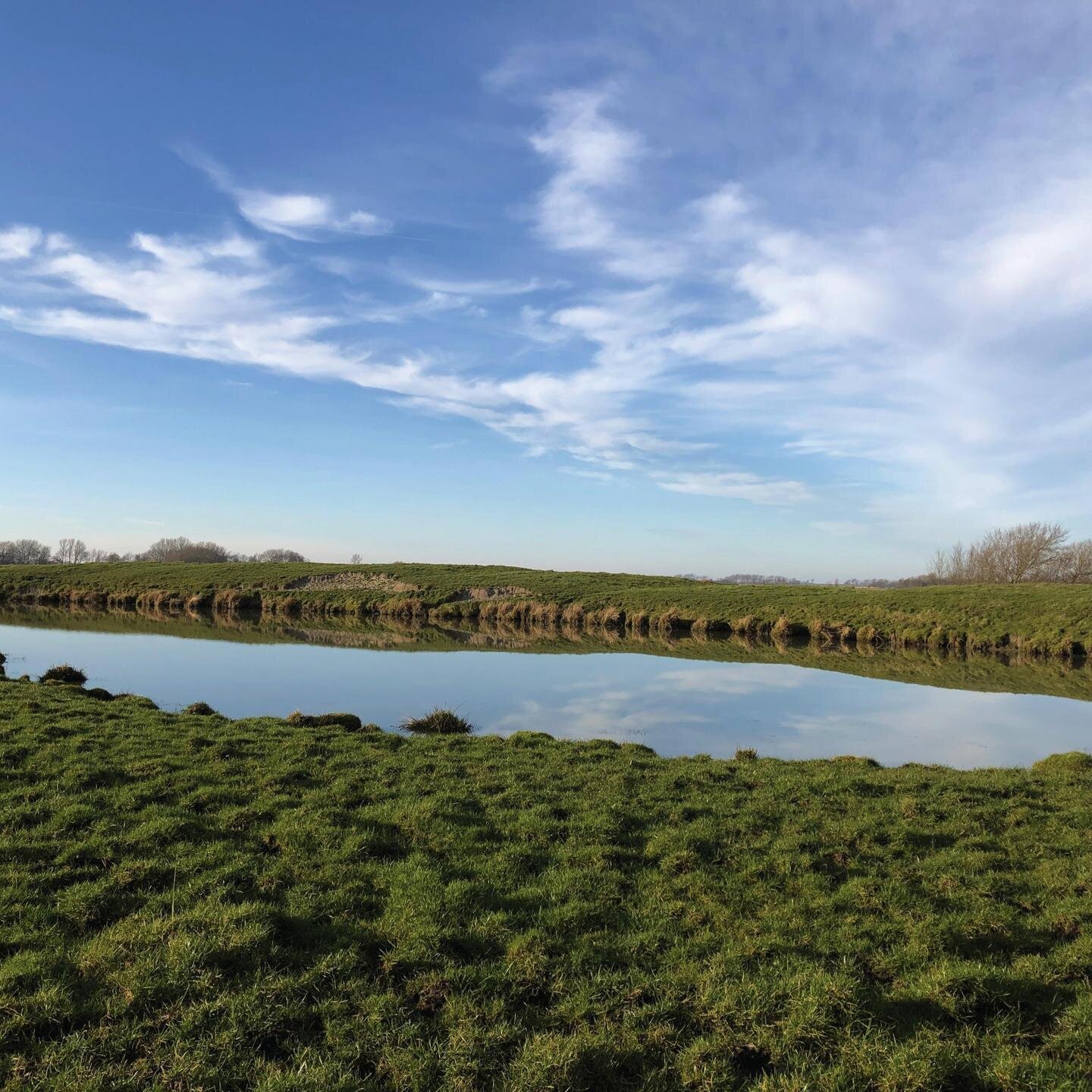 Blick auf einen Tauteich in Poppenbüll