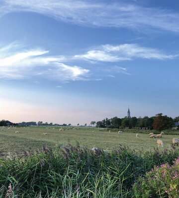 Blick auf die Landschaft in Kotzenbüll