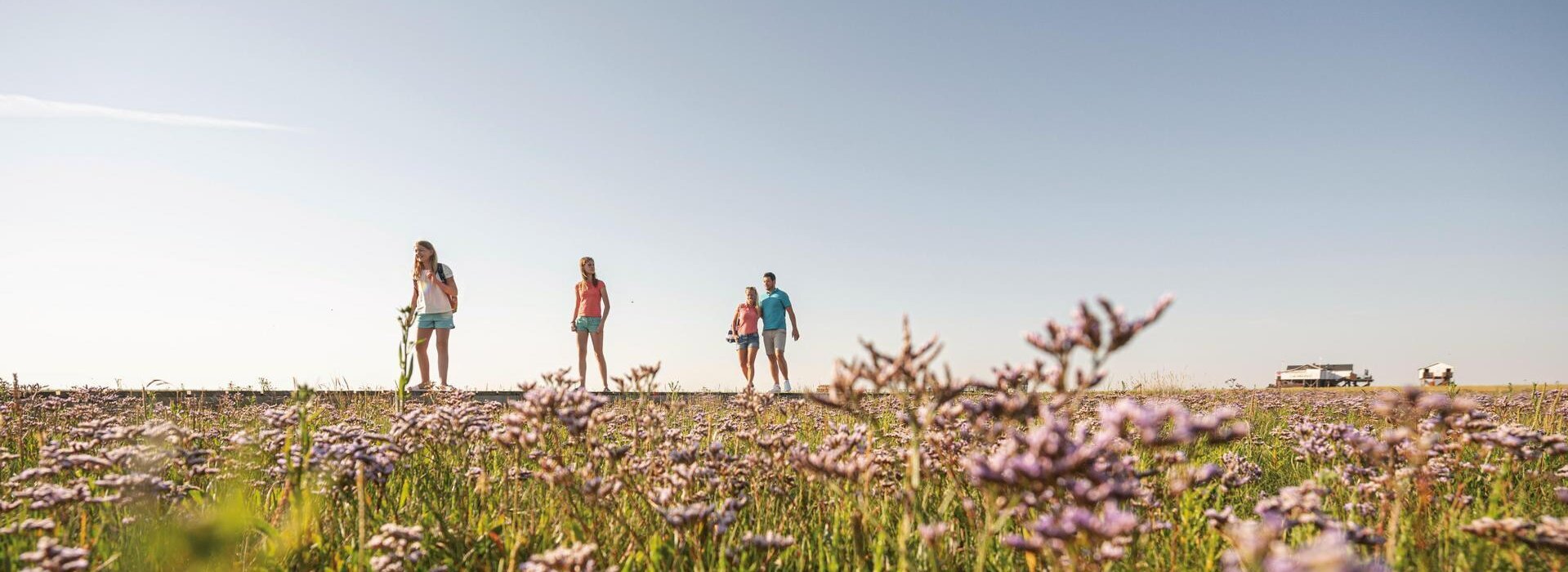 Familie spaziert umgeben von Strandflieder