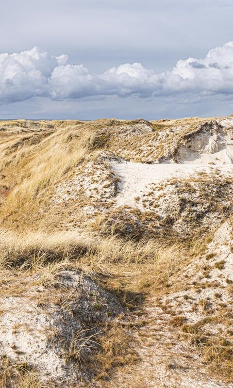 Karte von St. Peter-Ording mit vier Ortsteilen