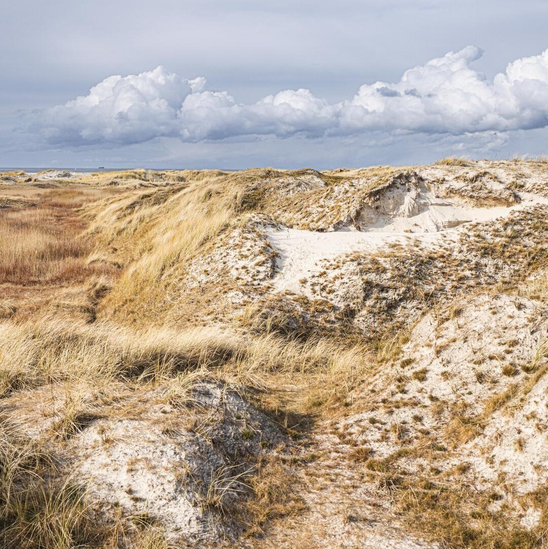 Dünenlandschaft am Ordinger Strand