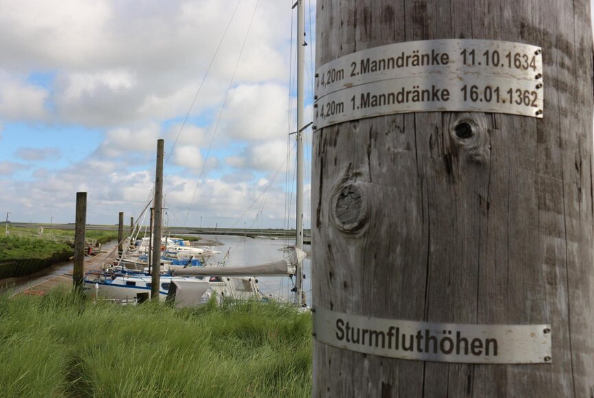 Flutpfähle im alten Hafen