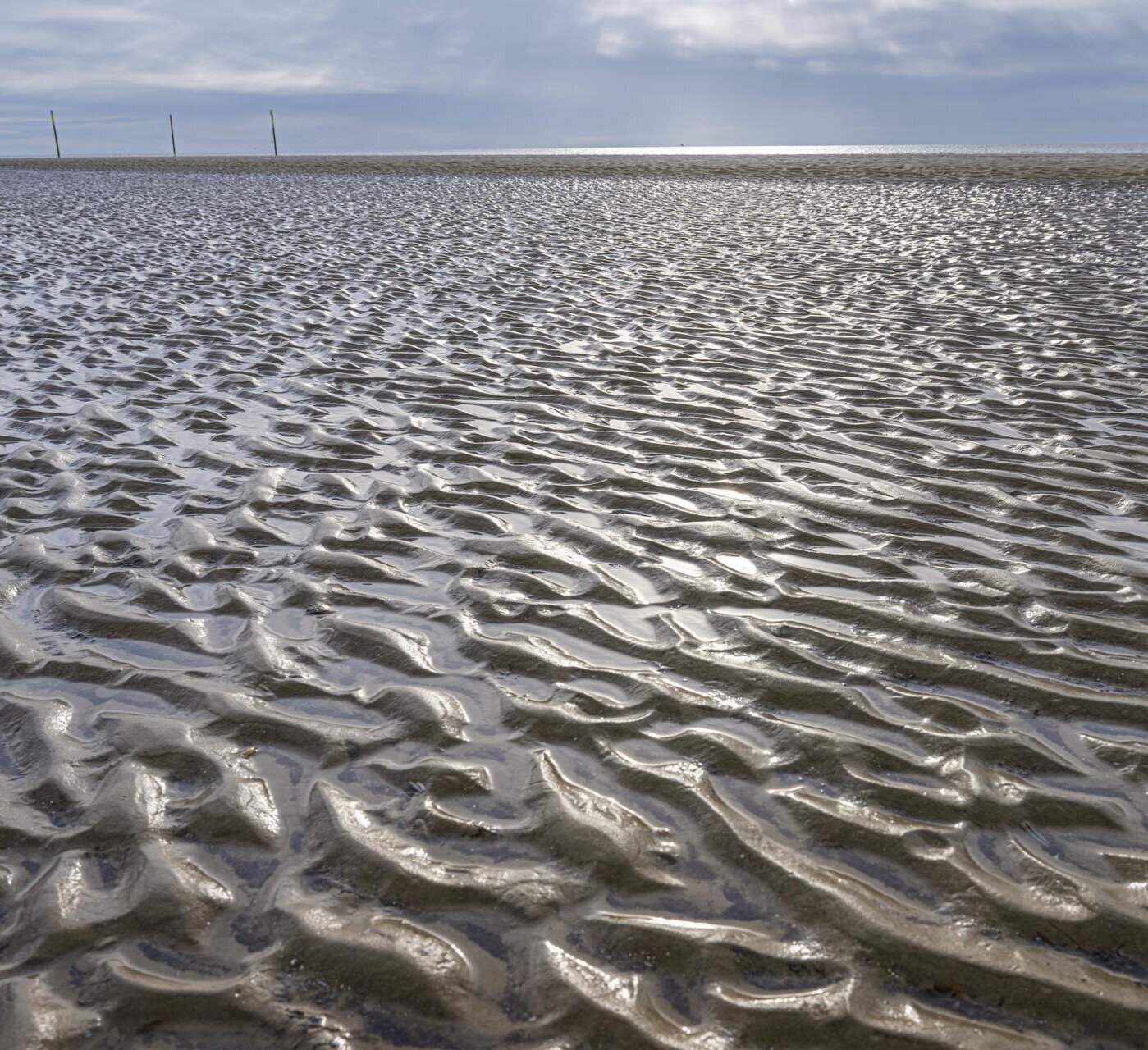 Wattstruktur bei Ebbe