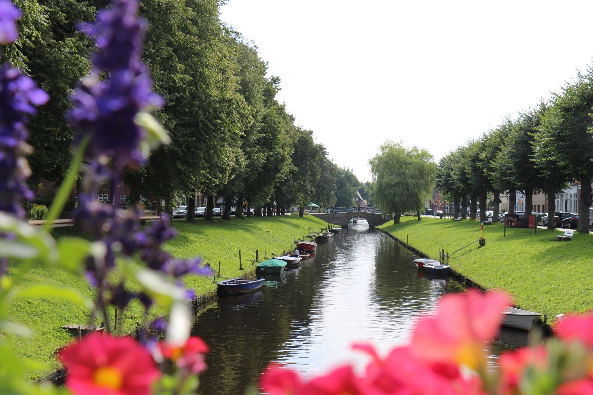 Blumen an einer Gracht in Friedrichstadt 