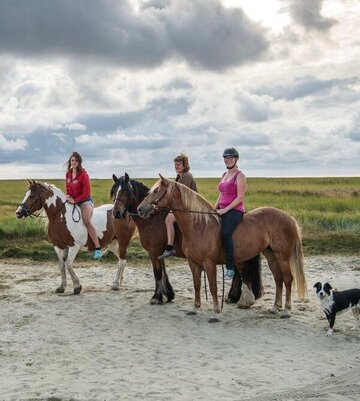 Reiterinnen mit ihren Pferden am Grünstrand