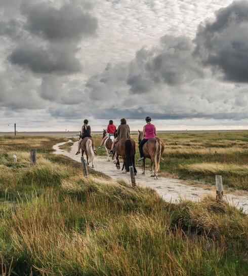 Reiten am Strand