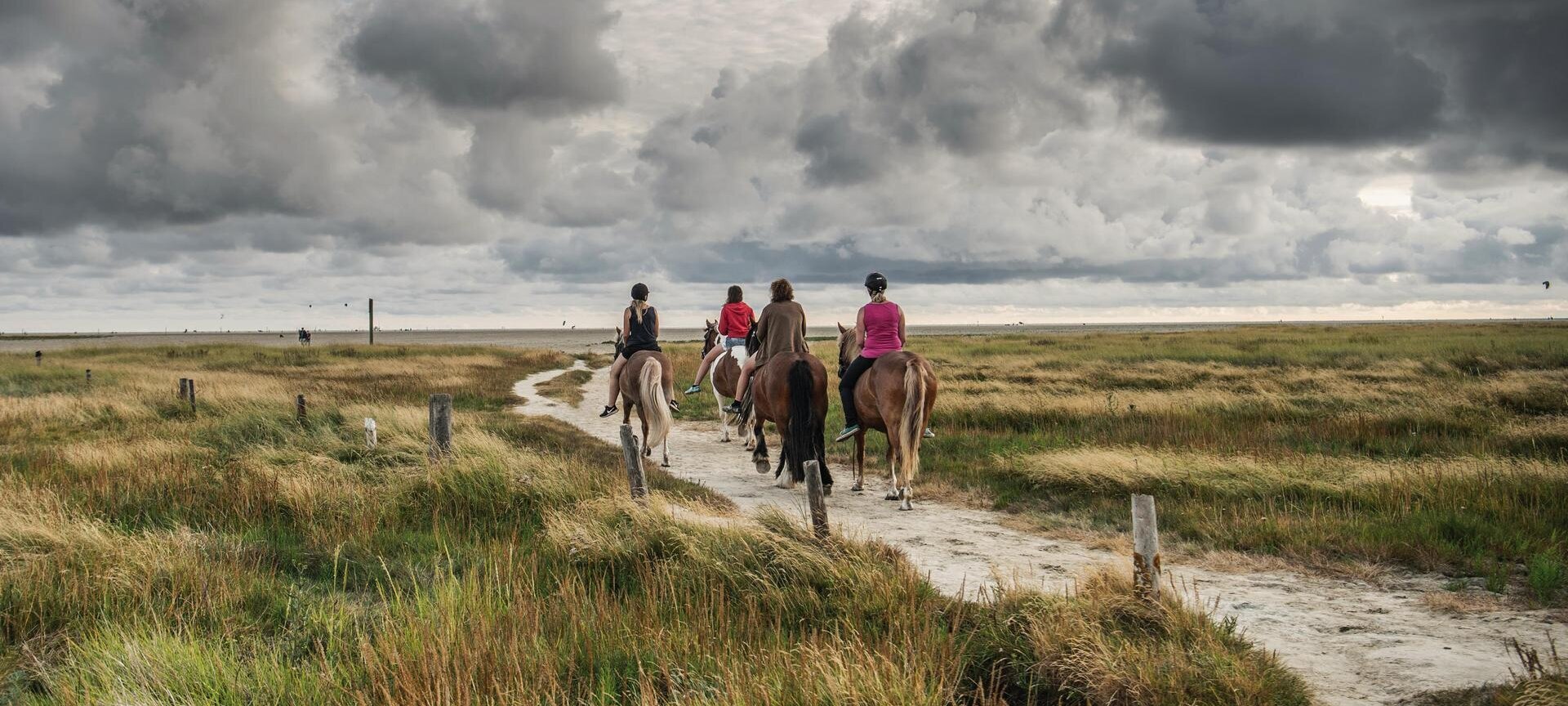 Reitergruppe auf dem Reitweg durch die Salzwiesen