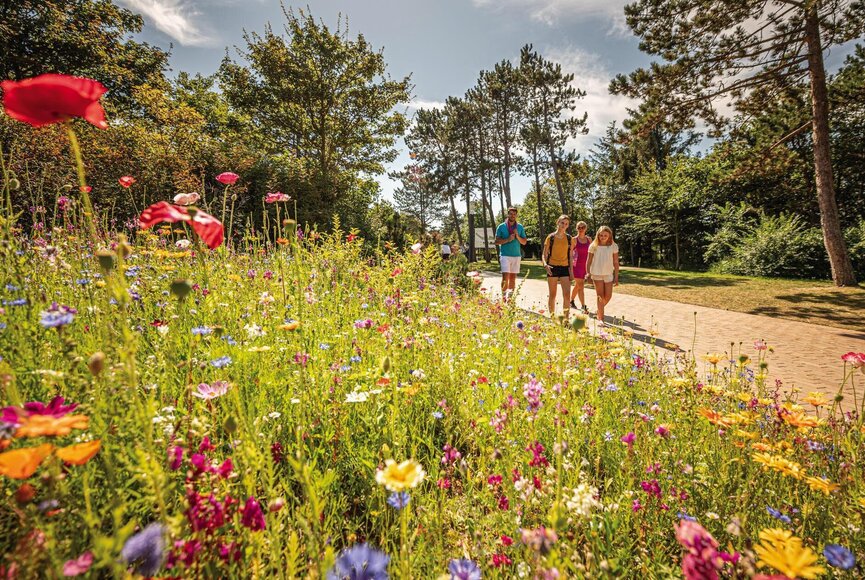 Familie auf der Erlebnispromenade im Sommer