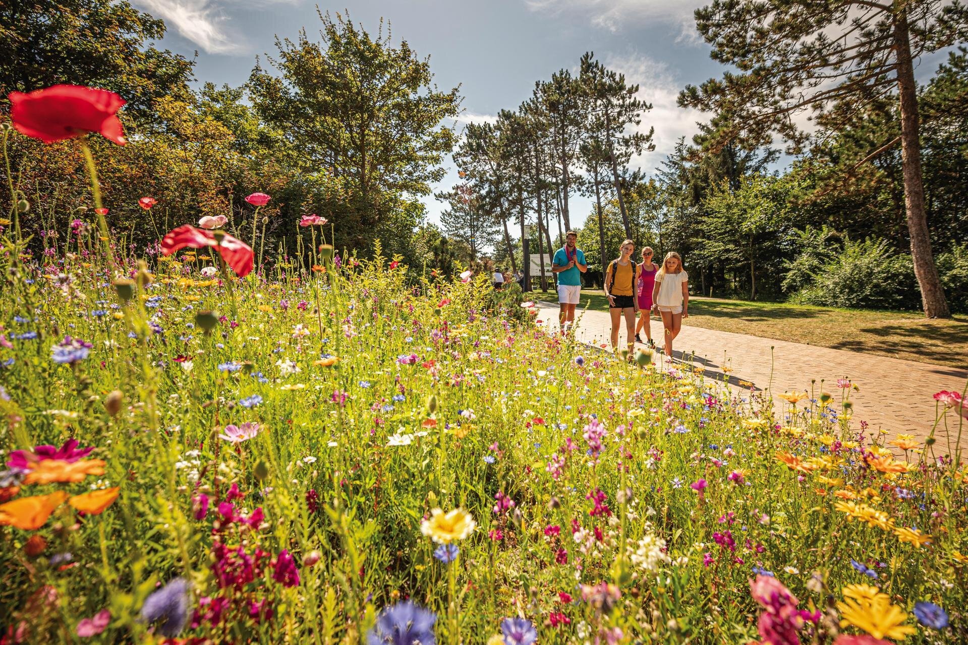 Familie spaziert auf der Erlebnis-Promenade