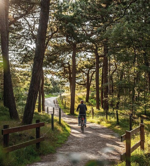 Fahrradfahrer im Ordinger Wald