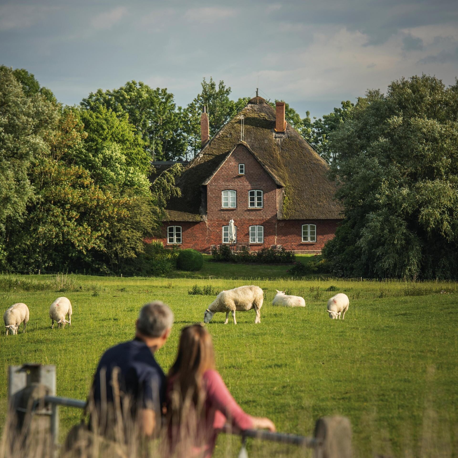 Paar am Gatter der Schafe eines Haubargs in Tetenbüll