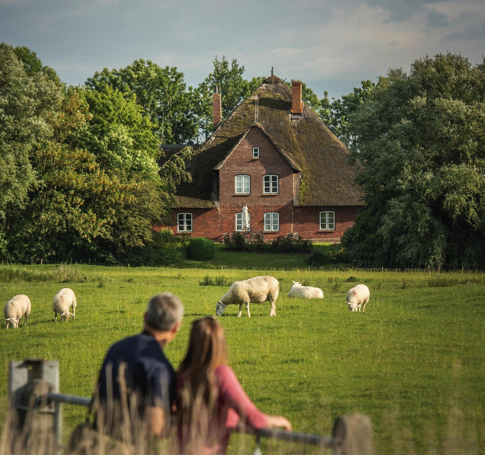 Paar am Tor mit Blick auf ein Reetdachhaus mit Schafen davor