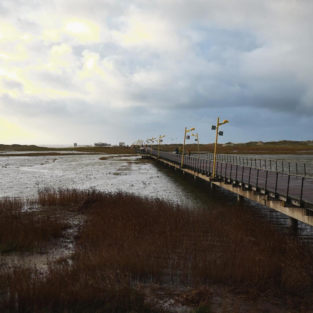überflutete Salzwiesen unter der Seebrücke