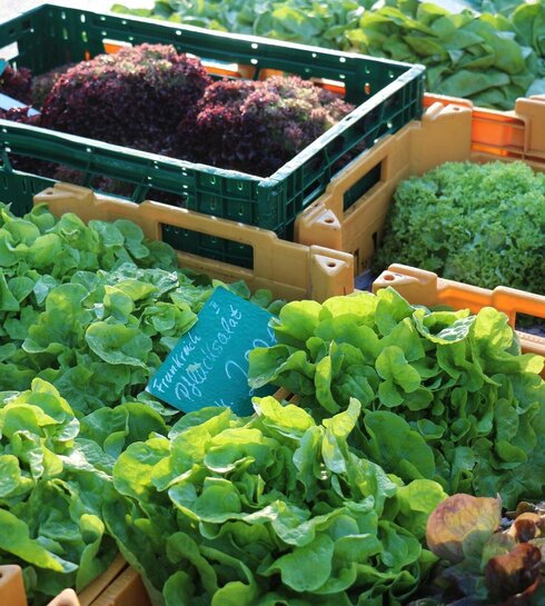 Fresh vegetables at a stall at the weekly market