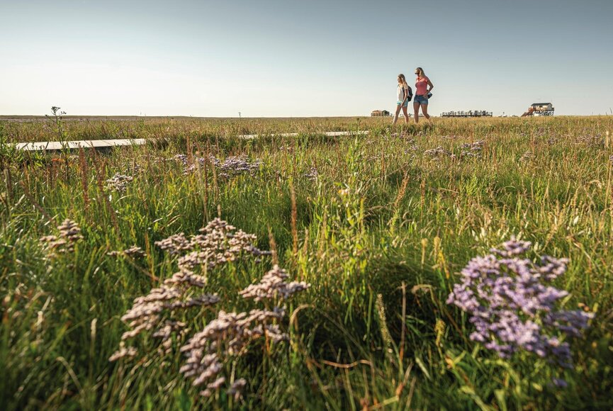 Pärchen in den Salzwiesen