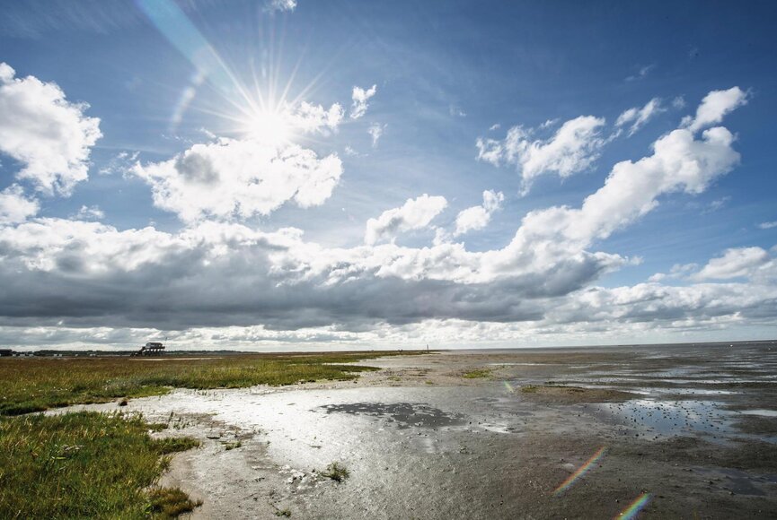 Wo die Salzwiesen auf das Watt treffen