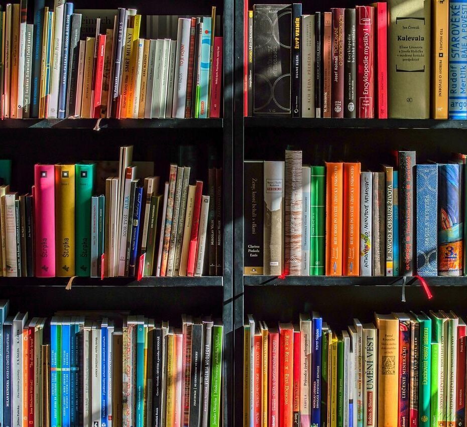 Regalwand voll mit Büchern