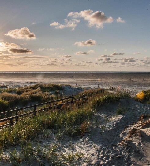 Dünenlandschaft im Sonnenuntergang