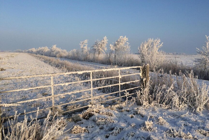 Winterlandschaft auf Eiderstedt