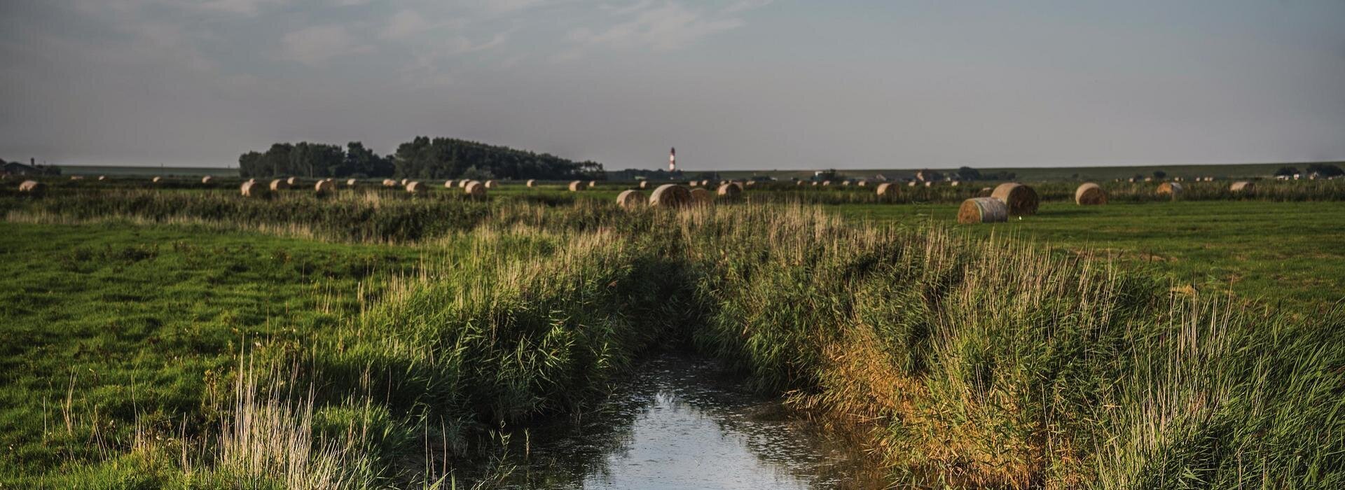 Sielzug am Westerhever Leuchtturm
