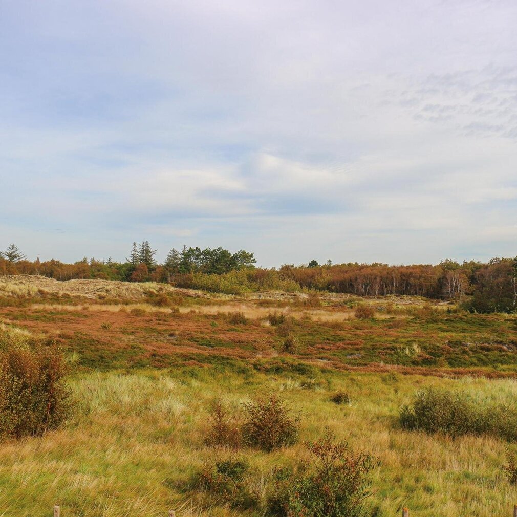 Landschaft im Ortsteil Dorf