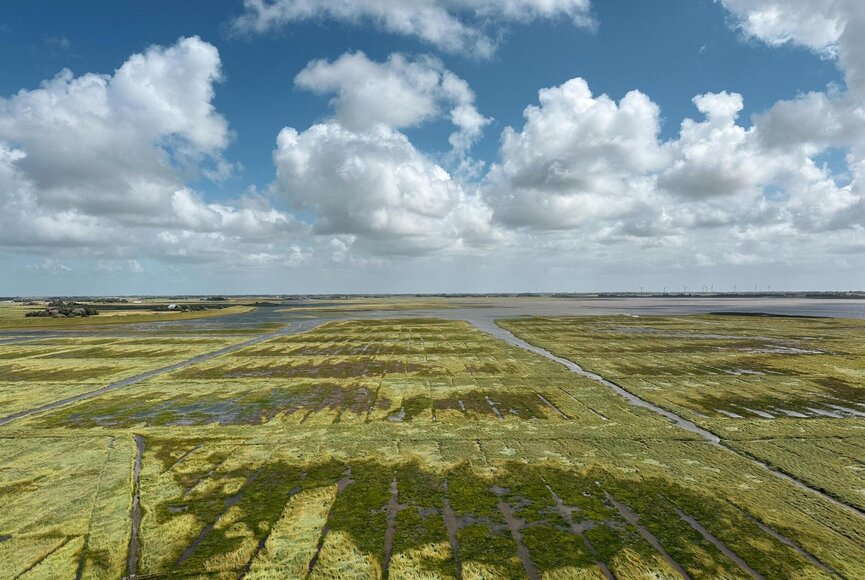 Ausblick über die Salzwiesen vom Leuchtturm Westerhever