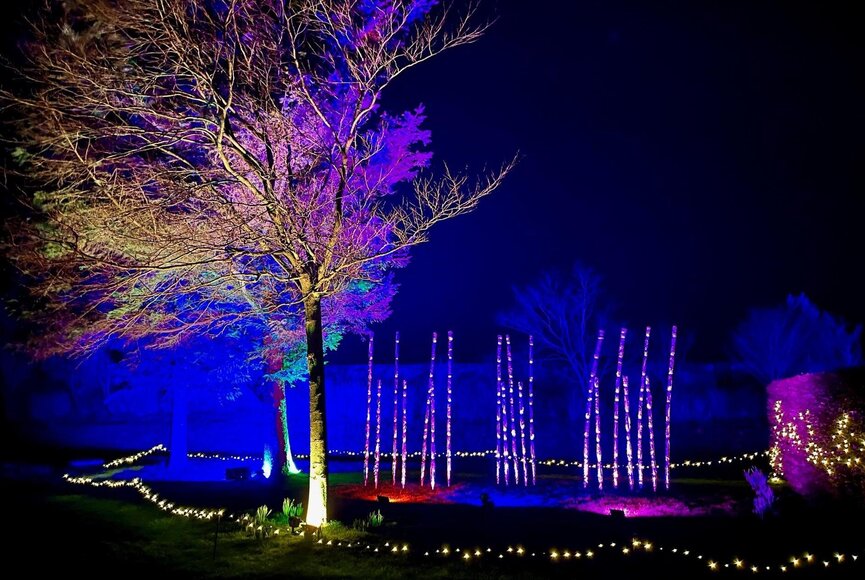 SPO leuchtet- bäume 