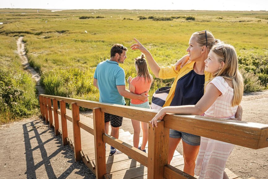 Familie steht auf einer Treppe am Deich